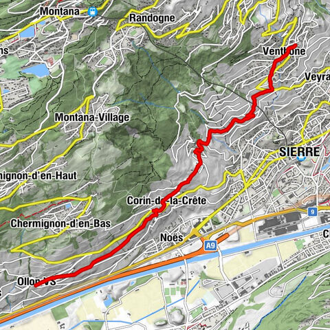 Carte