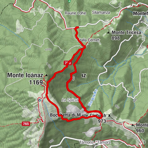 Ivanac / Monte Joanaz (1167 m) depuis Čarni Varh / Montefosca