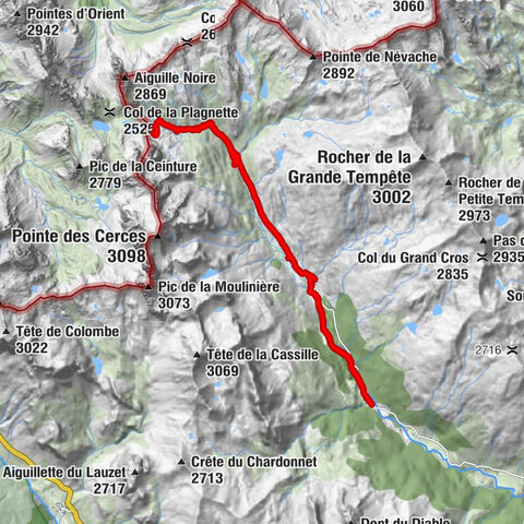 Carte