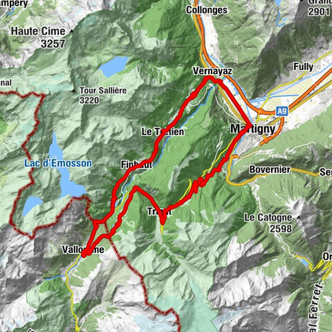 Carte