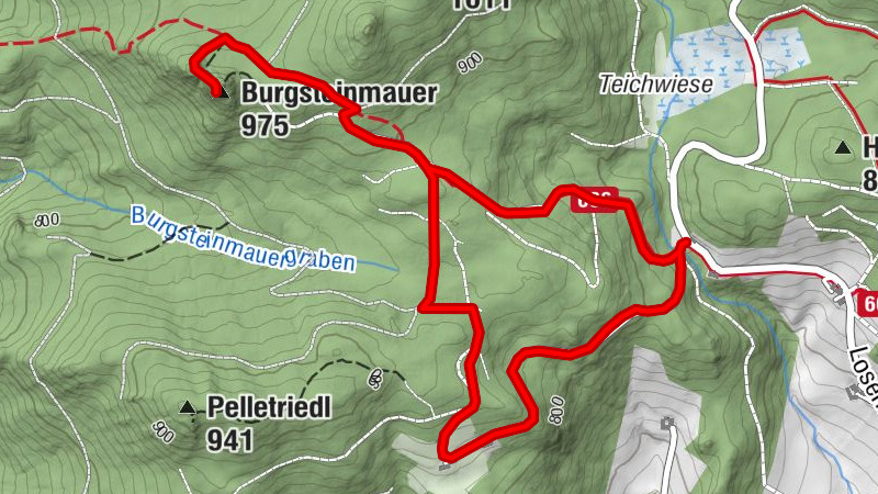 Carte