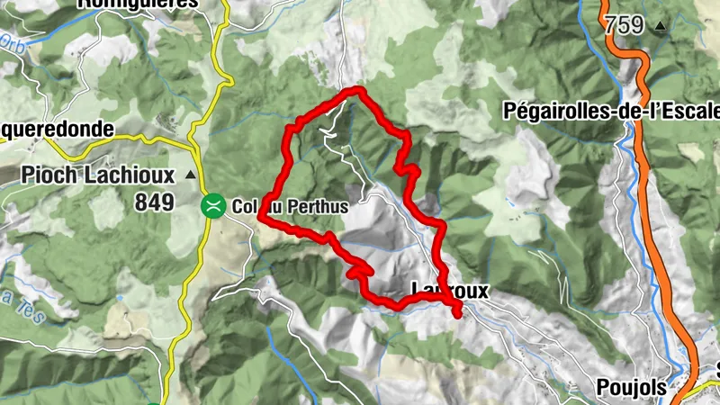 Carte