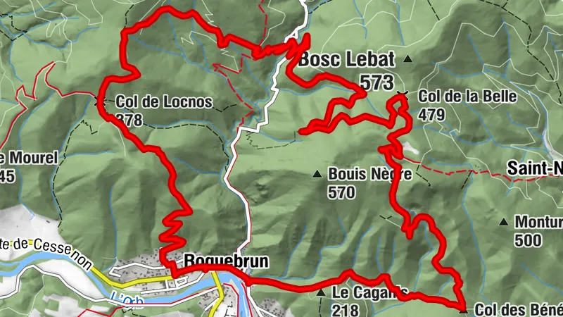 Carte