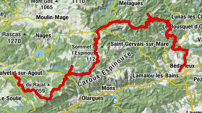 Carte