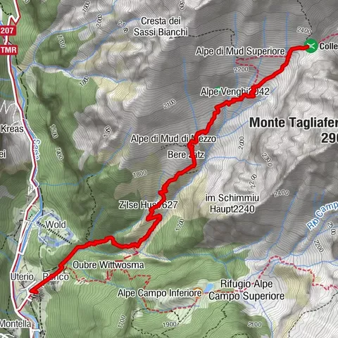 Carte