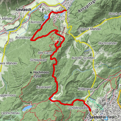 Carte