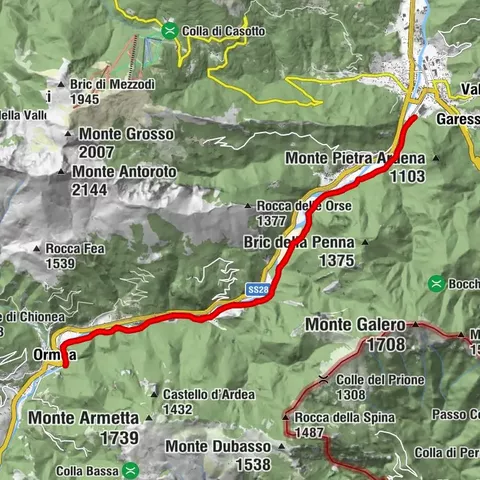 Carte