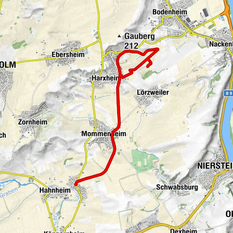 Selzen - Gau-Bischofsheim Amiche Radtour