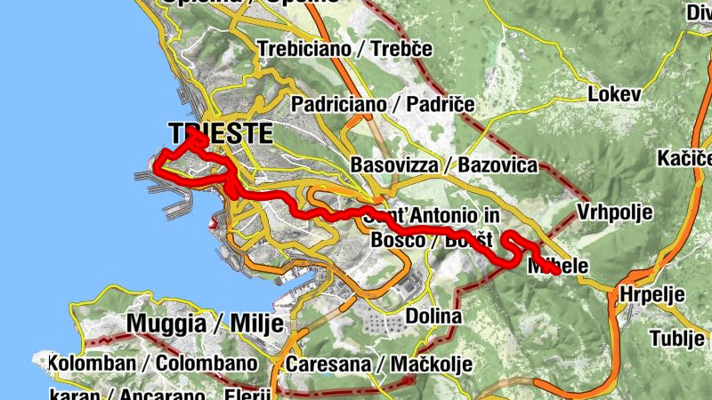 Carte