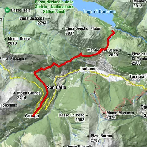Carte