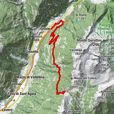 Carte