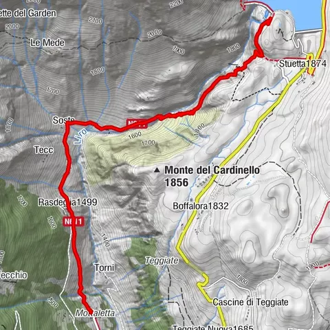 Carte