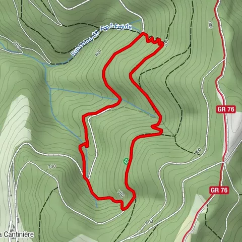 La forêt de la Cantinière