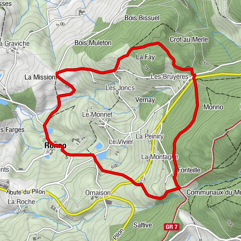 Carte