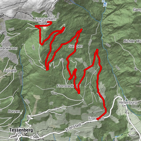 Carte