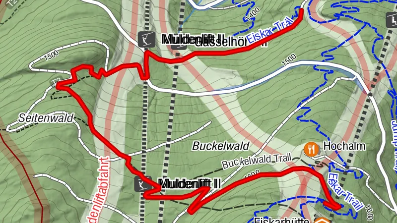 Buckelwald Trail | 101
