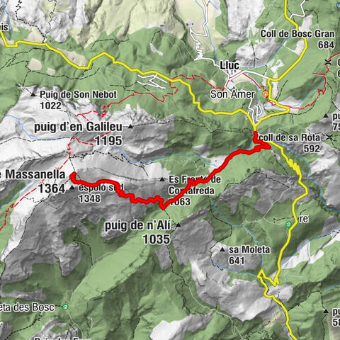 Carte