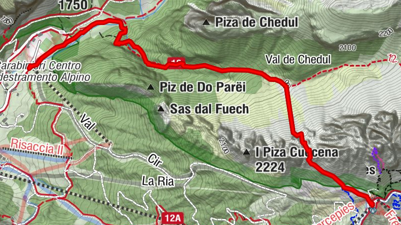 Carte