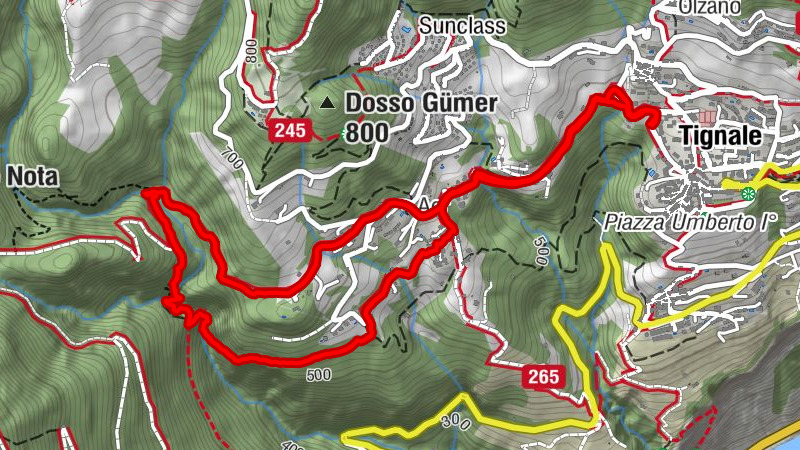 Carte