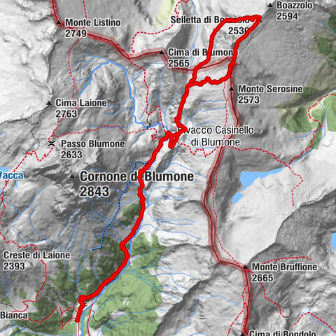 Cima boazzolo