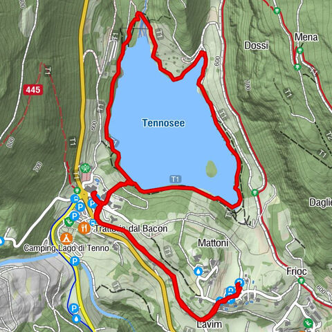 Carte