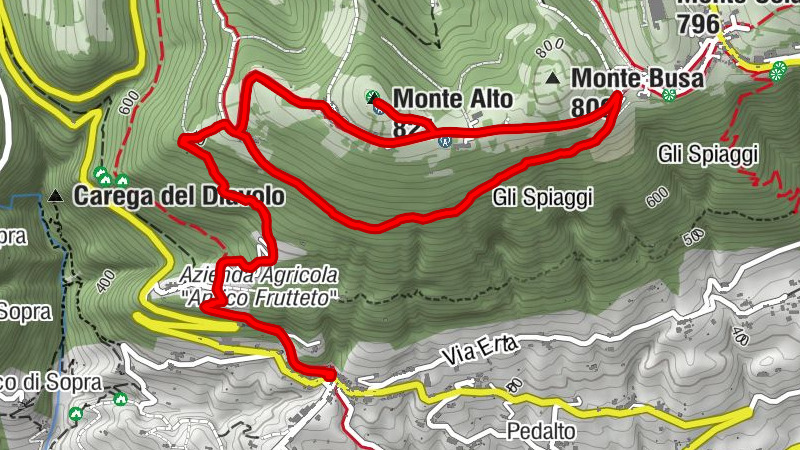 Carte