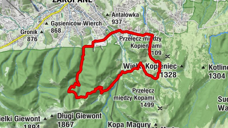Carte