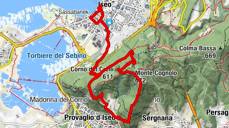Carte
