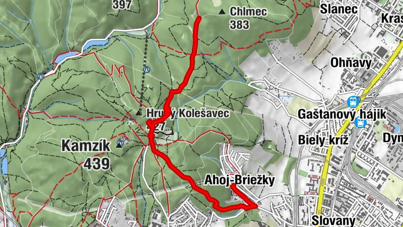 Carte