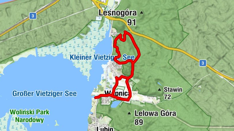 Wapnica - Wyżnica - Kościół filialny pw. Miłosierdzia Bożego - Ryb