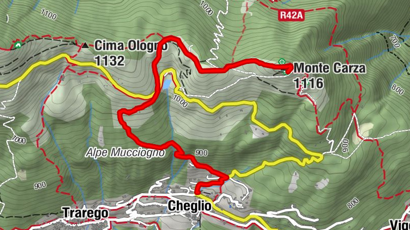 Carte