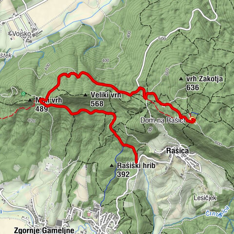 Rašica - Vrh Staneta Kosca (Rašica) - Dom na Rašici