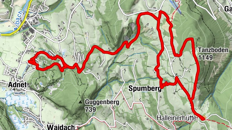 Carte