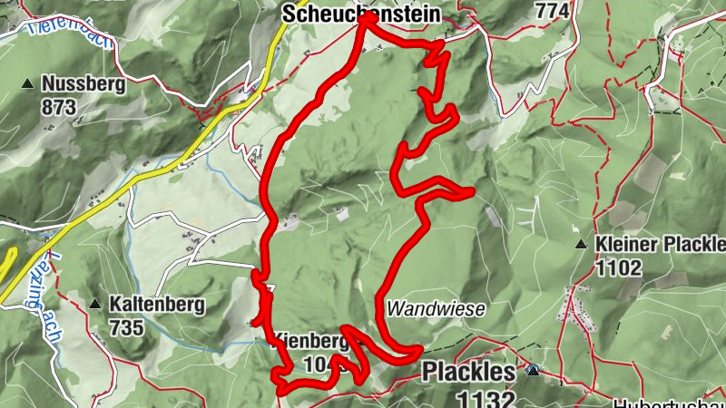 Carte