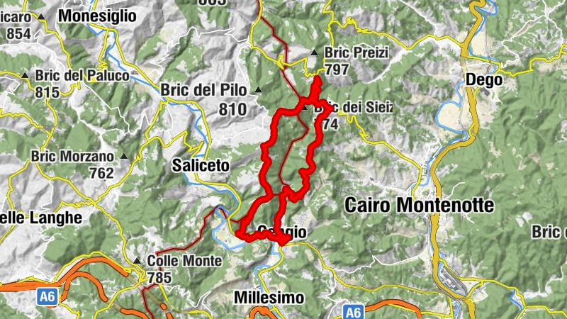 Carte