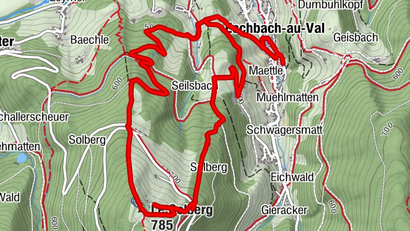 Carte