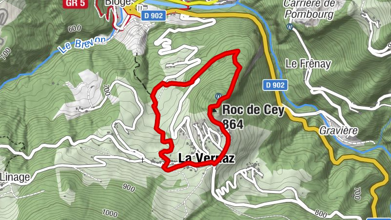 Carte