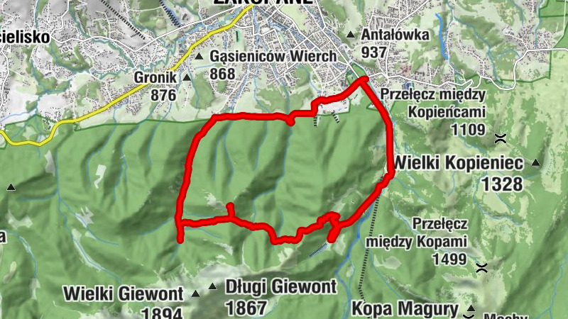 Carte