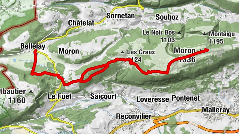 Carte