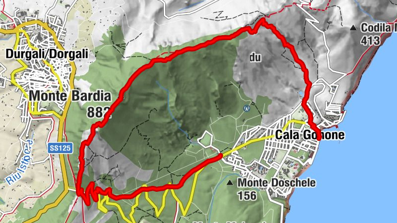 Carte