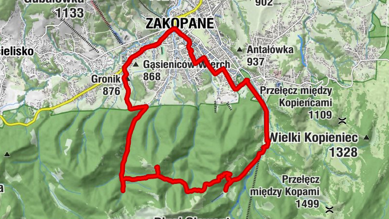Carte