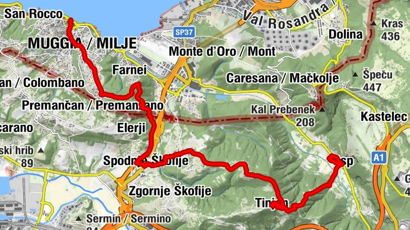 Carte