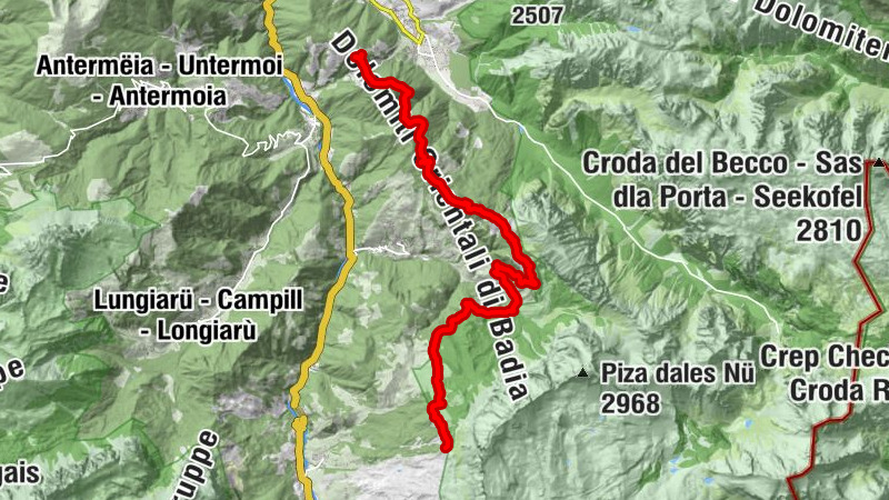 Carte
