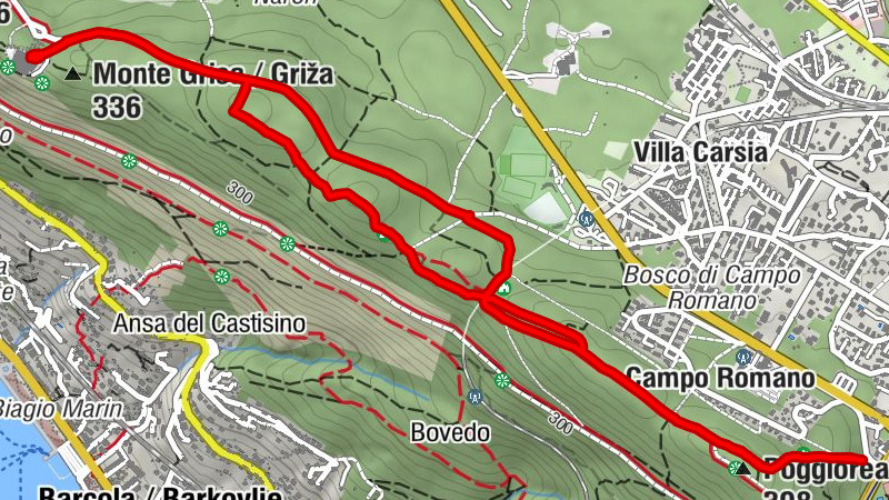 Carte