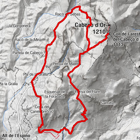 Pla de la Gralla - Coll de l'aresta del Cabeçó d'Or - Cabeçó d'Or - Busot