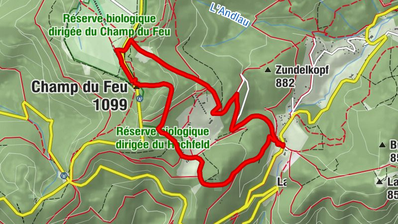 Carte