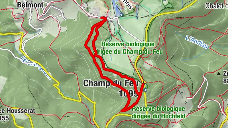 Carte
