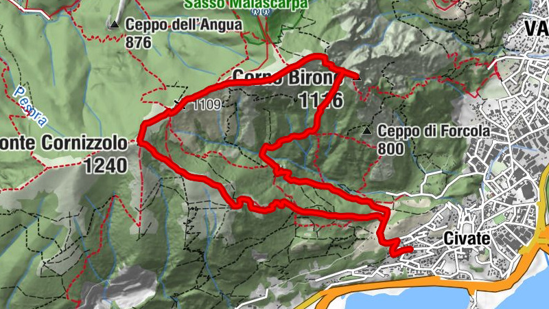 Carte