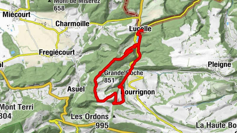 Carte