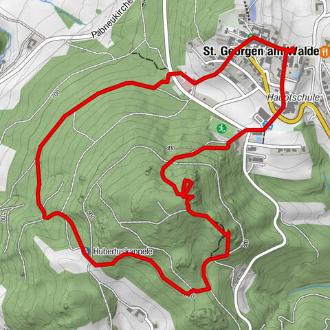 Natur-Geheimnis-Pfad Nr. 5